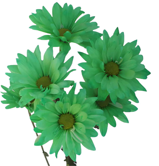 Chrysanthemum Santini Dyed Green Per Stem