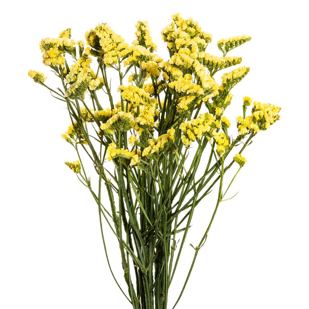 Statice Yellow Per Stem