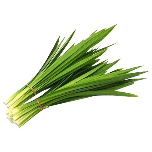 Pandanus Leaves per stem