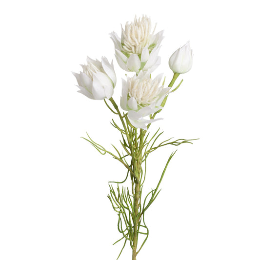 Blushing Bride Pink Per Stem