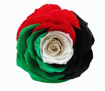 Rose Uae Per Stem